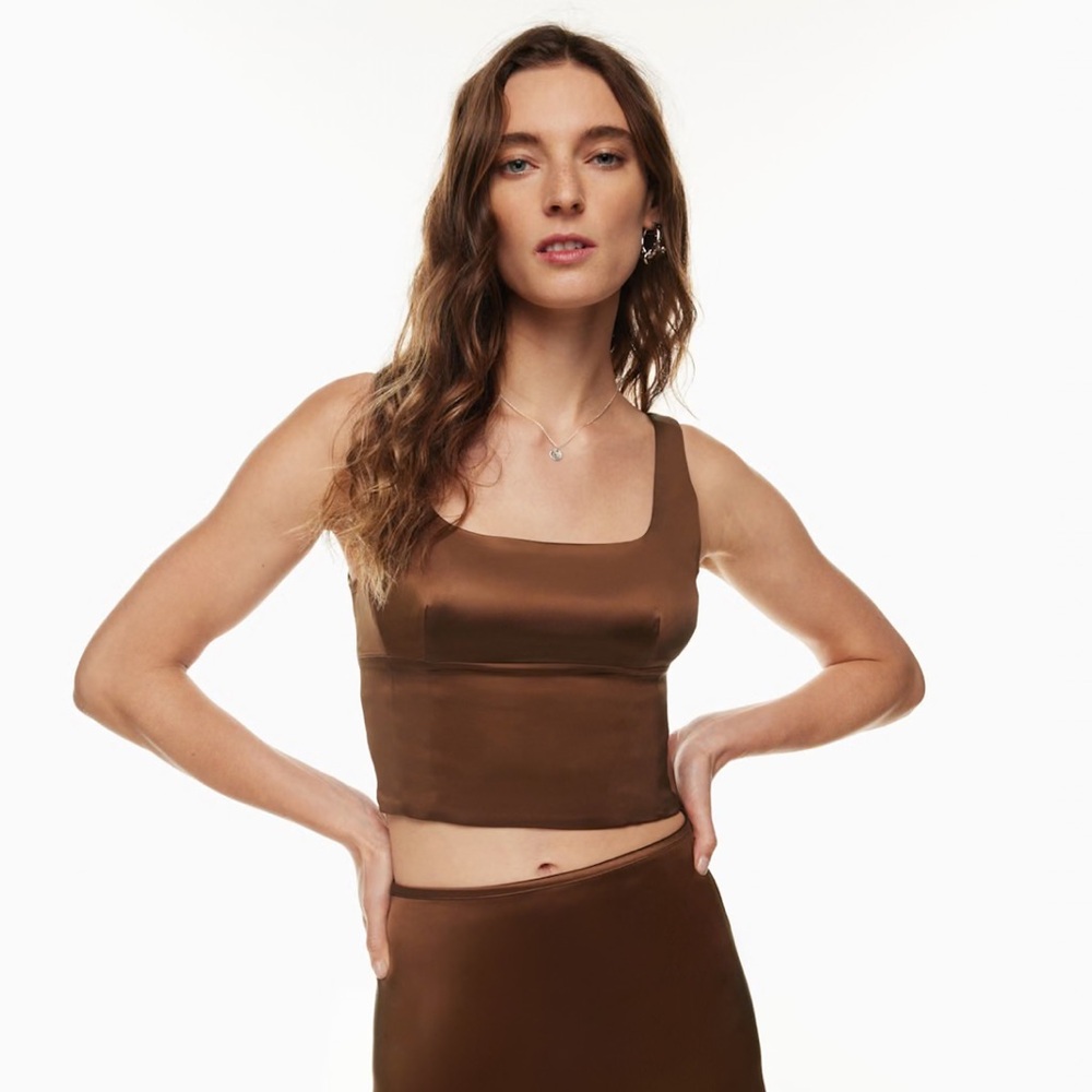 Aritzia Wilfred | Shine Satin Bustier